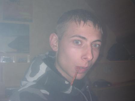 Marmotte
